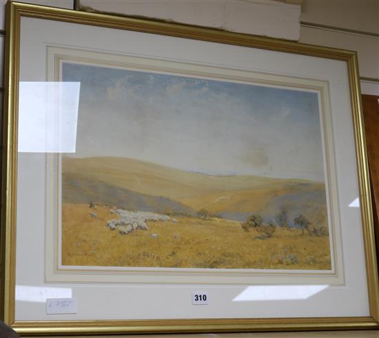 Robert Thorne Waite, watercolour, The Sussex Downs, signed, 14 x 20.5in.